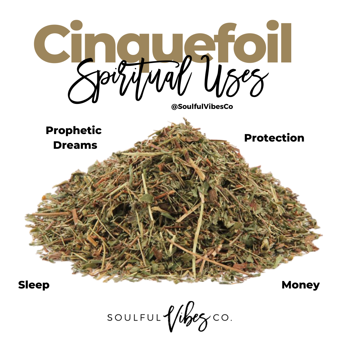 Cinquefoil / Five Finger Grass - Soulfulvibesco