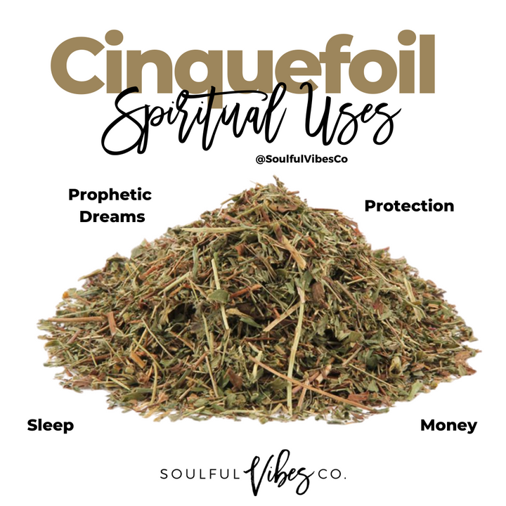 Cinquefoil / Five Finger Grass - Soulfulvibesco