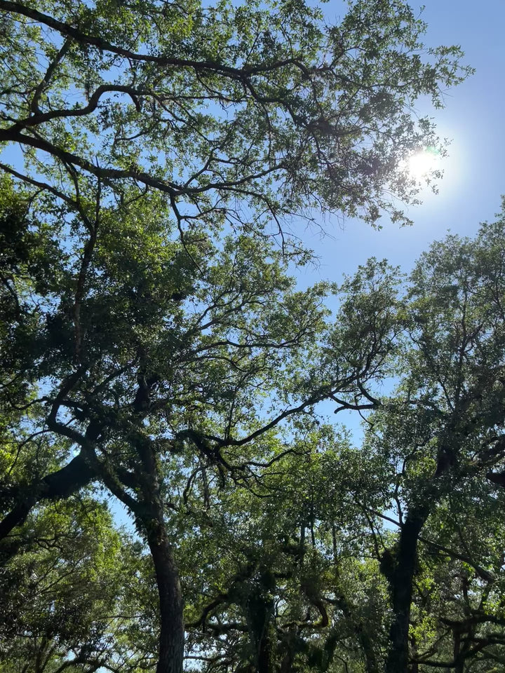 I am Courageous Romper