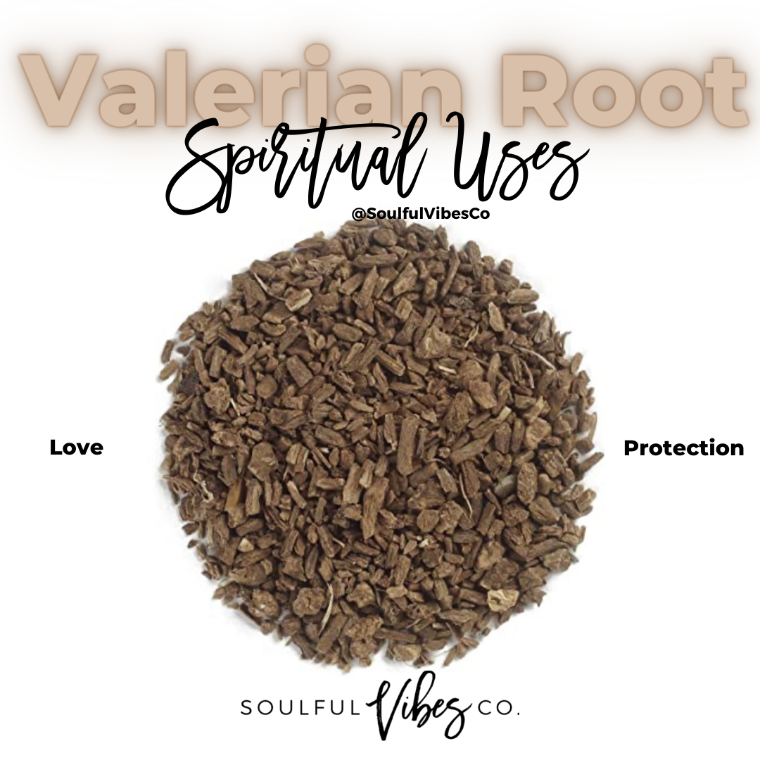Valerian Root - Soulfulvibesco