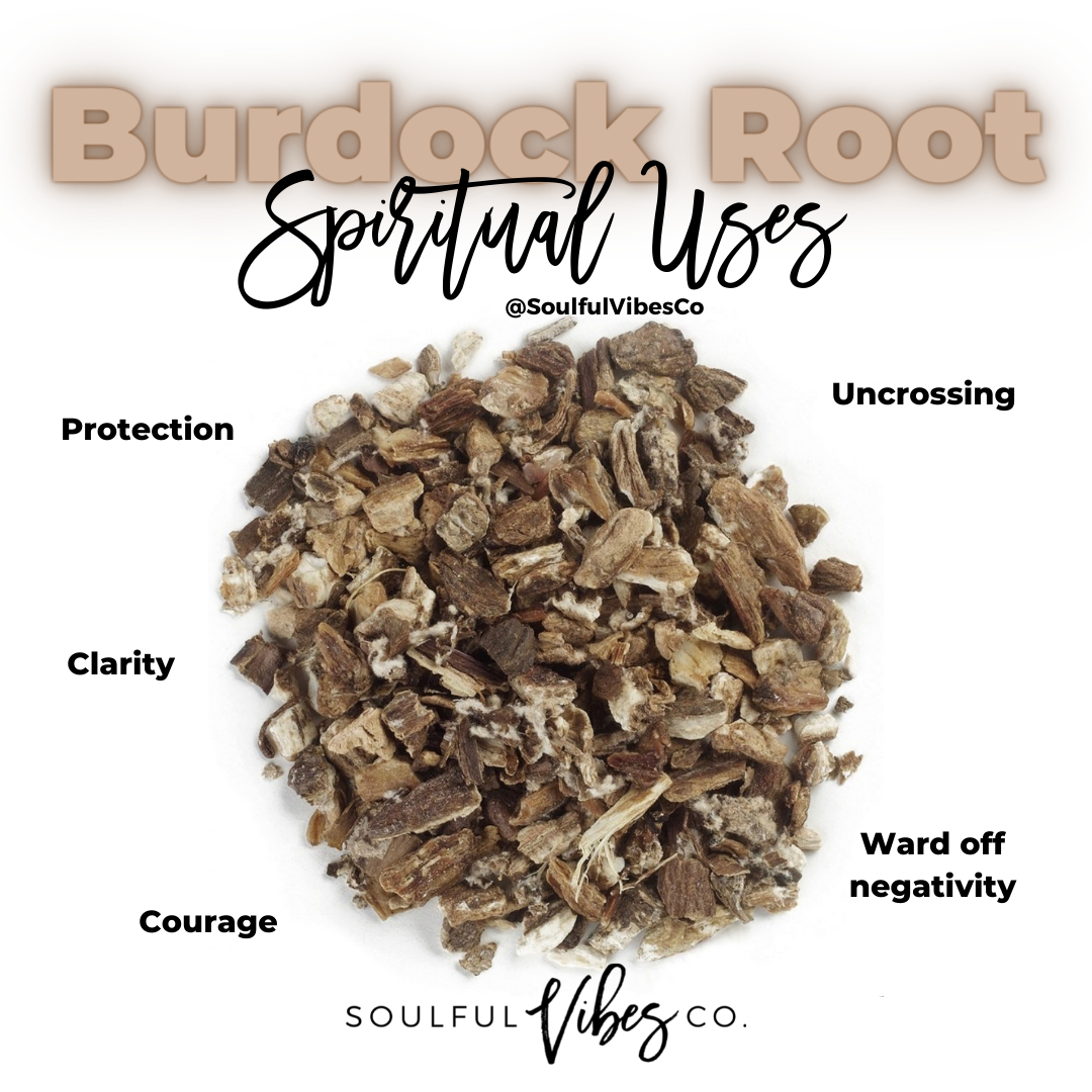 Burdock Root - Soulfulvibesco