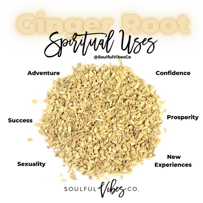 Ginger Root - Soulfulvibesco