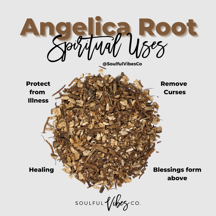 Angelica Root - Soulfulvibesco