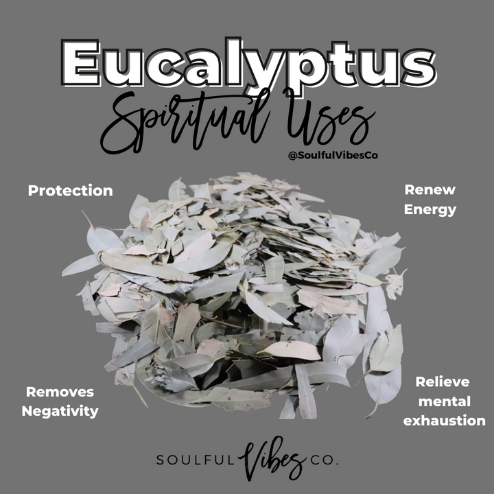 Eucalyptus - Soulfulvibesco
