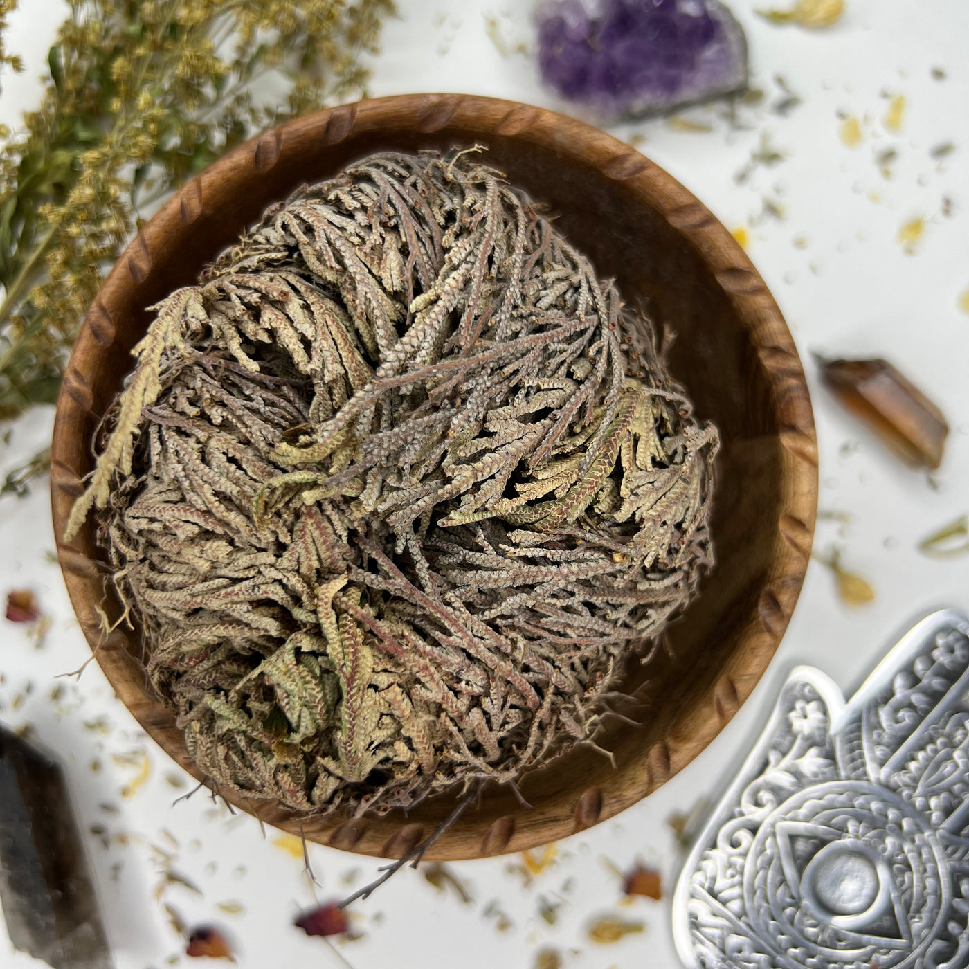 Rose Of Jericho - Soulfulvibesco